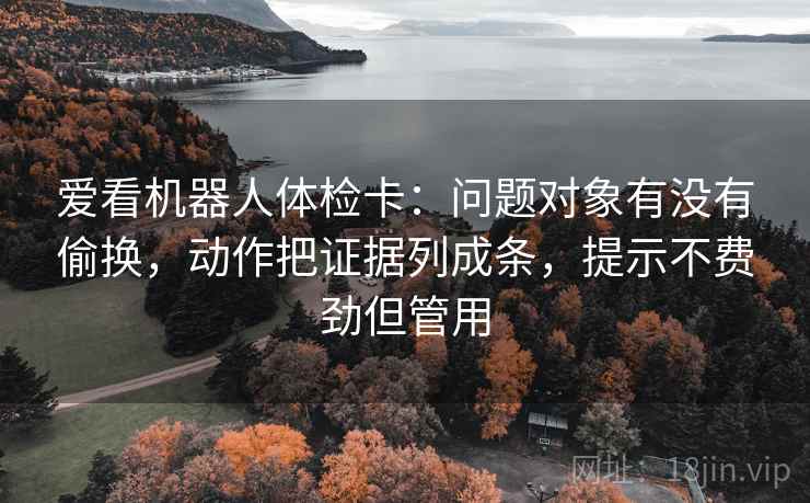 爱看机器人体检卡：问题对象有没有偷换，动作把证据列成条，提示不费劲但管用